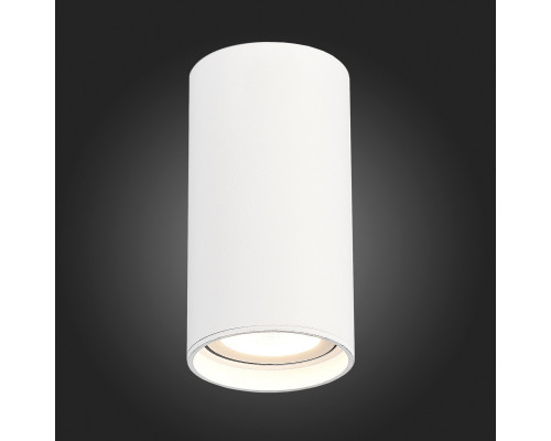 Оформить заказ Влагозащищенный светильник ST-Luce ST157.532.15| VIVID-LIGHT.RU