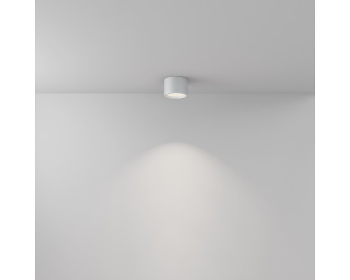 Оформить заказ Влагозащищенный светильник Maytoni Technical C090CL-10W4K-W| VIVID-LIGHT.RU