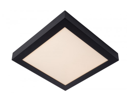 Оформить заказ Влагозащищенный светильник LUCIDE 28117/30/30| VIVID-LIGHT.RU