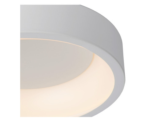 Заказать Влагозащищенный светильник LUCIDE 46100/32/31| VIVID-LIGHT.RU