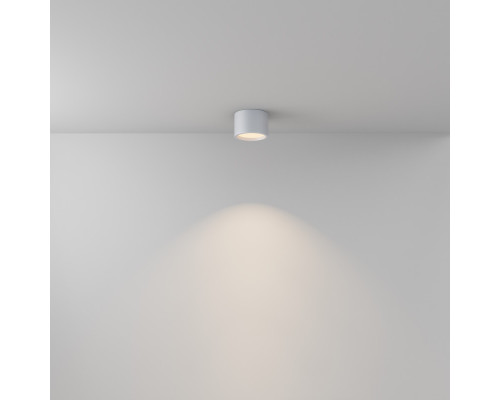 Оформить заказ Влагозащищенный светильник Maytoni Technical C090CL-10W3K-W| VIVID-LIGHT.RU