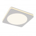 Заказать Встраиваемый светильник Maytoni Technical DL303-L12W| VIVID-LIGHT.RU