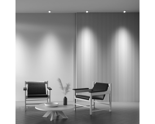 Оформить заказ Встраиваемый светильник Maytoni Technical DL044-01-GU10-W| VIVID-LIGHT.RU