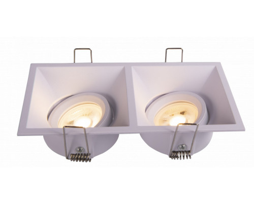 Оформить заказ Встраиваемый светильник Maytoni Technical DL029-2-02W| VIVID-LIGHT.RU