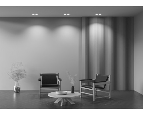 Сделать заказ Встраиваемый светильник Maytoni Technical DL002-DW-02-W| VIVID-LIGHT.RU