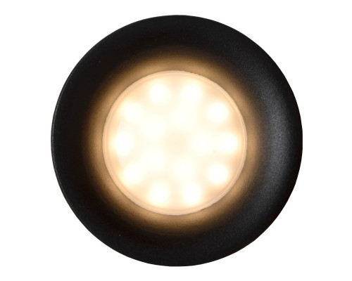 Оформить заказ Встраиваемый светильник LUCIDE 09923/01/30| VIVID-LIGHT.RU