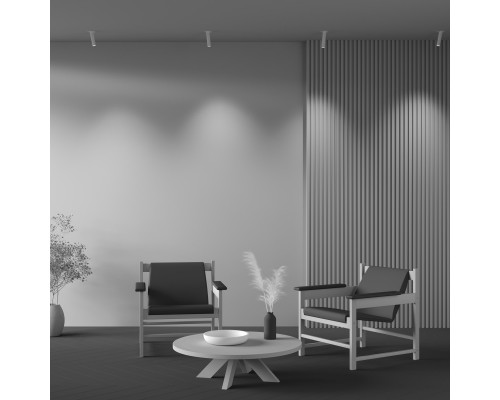 Оформить заказ Встраиваемый светильник Maytoni Technical C140TRS-L200-7W3K-W| VIVID-LIGHT.RU