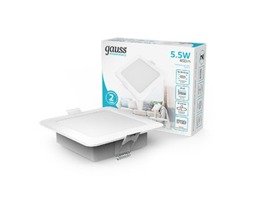 Заказать Встраиваемый светильник Gauss 998420205| VIVID-LIGHT.RU