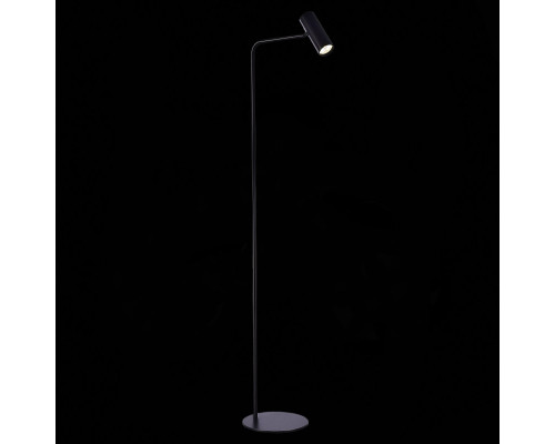 Сделать заказ Торшер ST-Luce SL1006.405.01| VIVID-LIGHT.RU