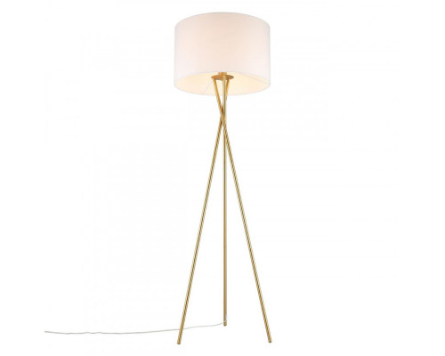 Сделать заказ Торшер APLOYT APL.637.05.01| VIVID-LIGHT.RU