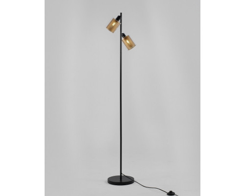 Сделать заказ Торшер Moderli V3061-2F| VIVID-LIGHT.RU