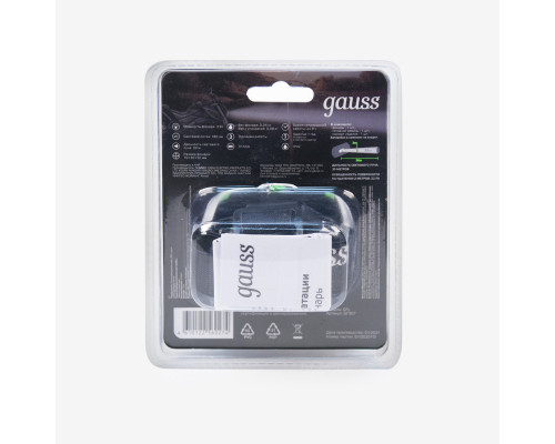 Заказать Фонарь Gauss GF307| VIVID-LIGHT.RU