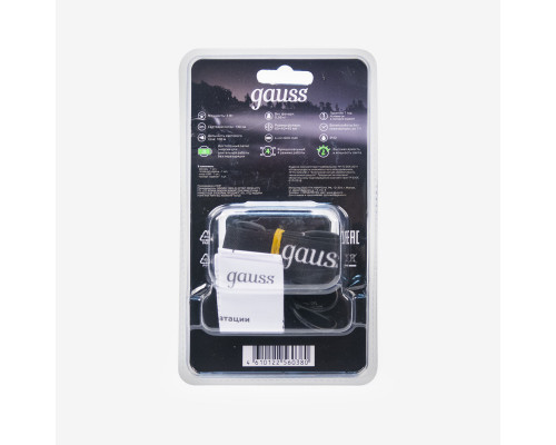 Заказать Фонарь Gauss GF405| VIVID-LIGHT.RU