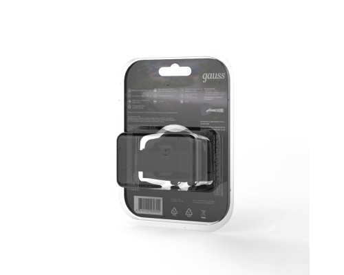 Заказать Фонарь Gauss GF308| VIVID-LIGHT.RU