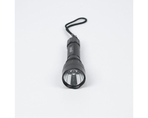 Оформить заказ Фонарь Gauss GF205| VIVID-LIGHT.RU