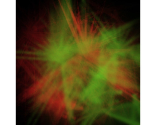 Купить LED проектор Neon-Night 601-264| VIVID-LIGHT.RU