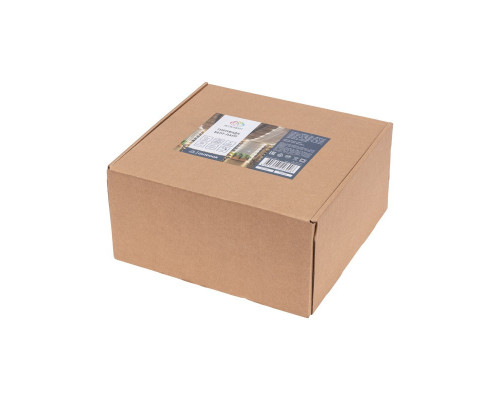 Купить Белт-Лайт Neon-Night 331-331| VIVID-LIGHT.RU