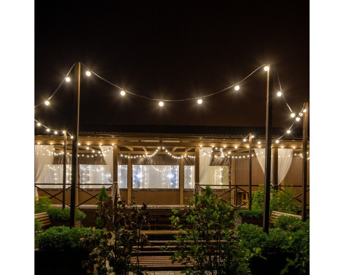 Оформить заказ Белт-Лайт Neon-Night 331-333| VIVID-LIGHT.RU