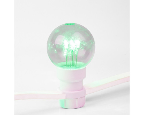 Оформить заказ Белт-Лайт Neon-Night 331-304| VIVID-LIGHT.RU