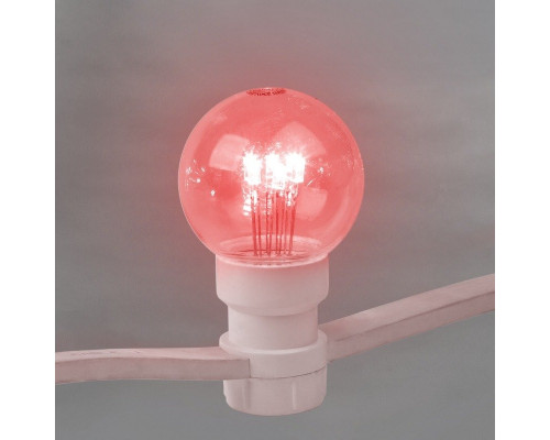 Купить Белт-Лайт Neon-Night 331-302| VIVID-LIGHT.RU