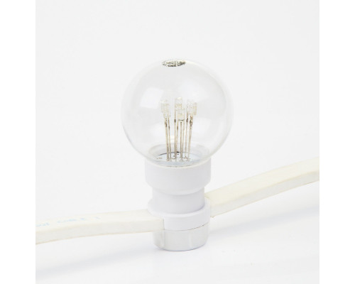 Купить Белт-Лайт Neon-Night 331-302| VIVID-LIGHT.RU