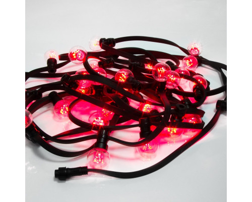 Заказать Белт-Лайт Neon-Night 331-322| VIVID-LIGHT.RU