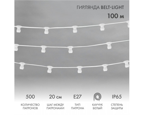 Сделать заказ Белт-Лайт Neon-Night 331-254| VIVID-LIGHT.RU