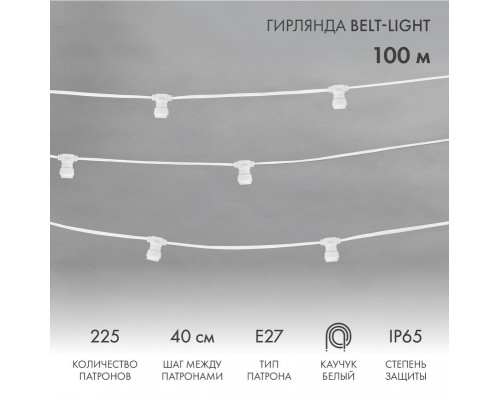 Заказать Белт-Лайт Neon-Night 331-252| VIVID-LIGHT.RU