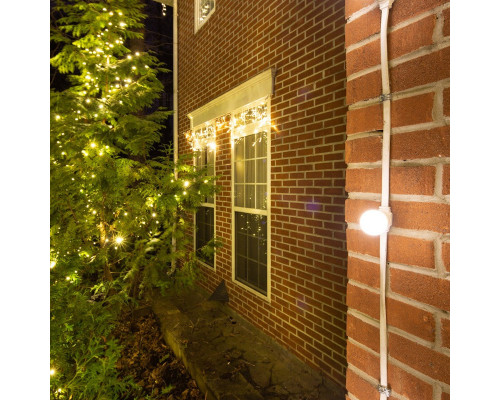 Заказать Белт-Лайт Neon-Night 331-252| VIVID-LIGHT.RU