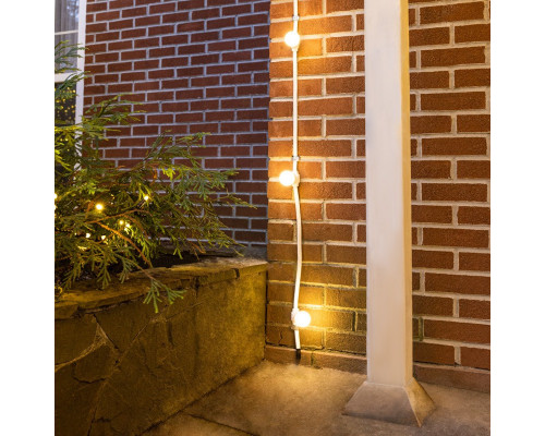 Заказать Белт-Лайт Neon-Night 331-252| VIVID-LIGHT.RU