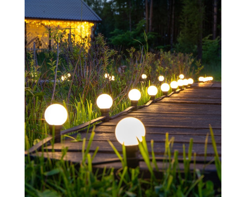 Заказать Белт-Лайт Neon-Night 331-346| VIVID-LIGHT.RU