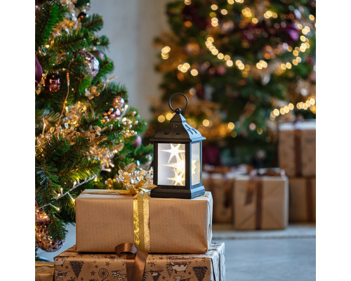 Оформить заказ Декоратиный светильник Neon-Night 513-065| VIVID-LIGHT.RU