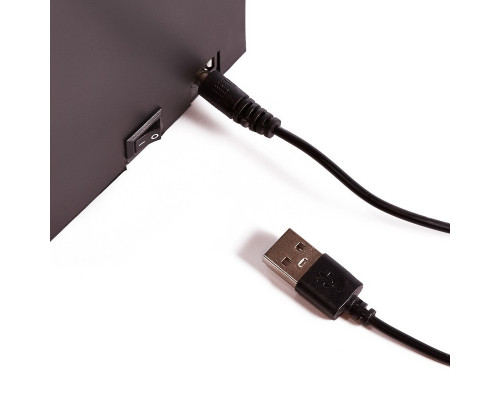 Сделать заказ Декоратиный светильник Neon-Night 511-001| VIVID-LIGHT.RU