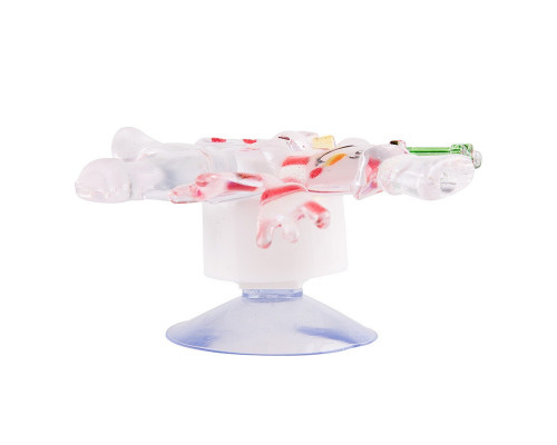 Оформить заказ Декоратиный светильник Neon-Night 501-022| VIVID-LIGHT.RU