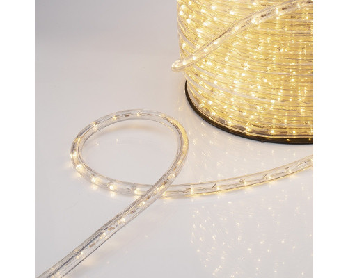 Сделать заказ Дюралайт Neon-Night 121-256| VIVID-LIGHT.RU