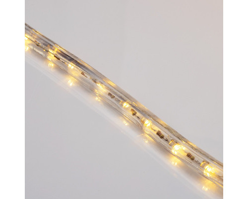 Сделать заказ Дюралайт Neon-Night 121-256| VIVID-LIGHT.RU