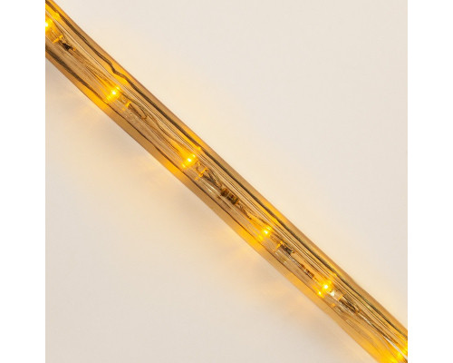 Купить Дюралайт Neon-Night 121-121-4| VIVID-LIGHT.RU