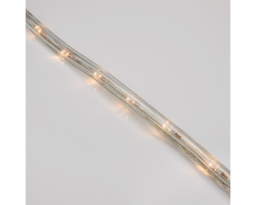 Купить Дюралайт Neon-Night 121-326-4| VIVID-LIGHT.RU