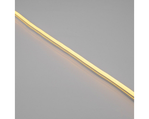 Заказать Гибкий неон Neon-Night 131-011-1| VIVID-LIGHT.RU