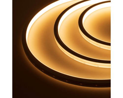 Оформить заказ Гибкий неон Arlight 038605| VIVID-LIGHT.RU