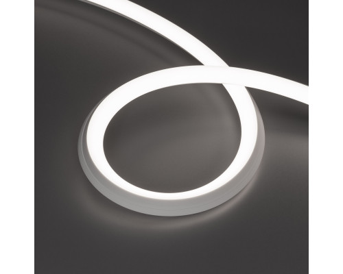 Сделать заказ Гибкий неон Arlight 038788| VIVID-LIGHT.RU