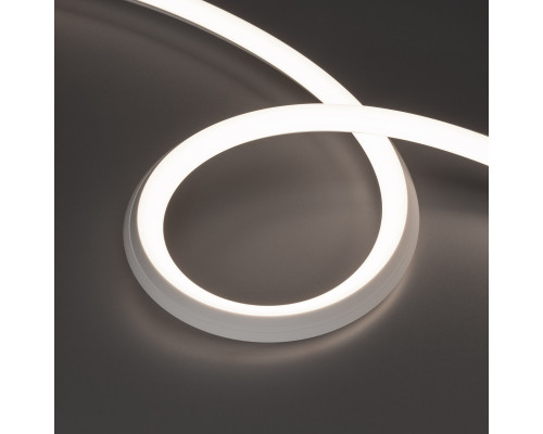 Сделать заказ Гибкий неон Arlight 038787| VIVID-LIGHT.RU