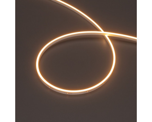 Оформить заказ Гибкий неон Arlight 039568| VIVID-LIGHT.RU