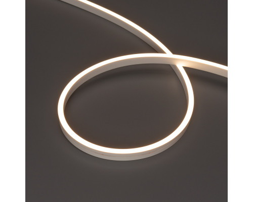 Оформить заказ Гибкий неон Arlight 041035| VIVID-LIGHT.RU