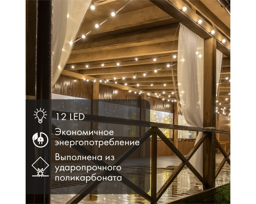 Сделать заказ Лампа декоративная Neon-Night 405-132| VIVID-LIGHT.RU