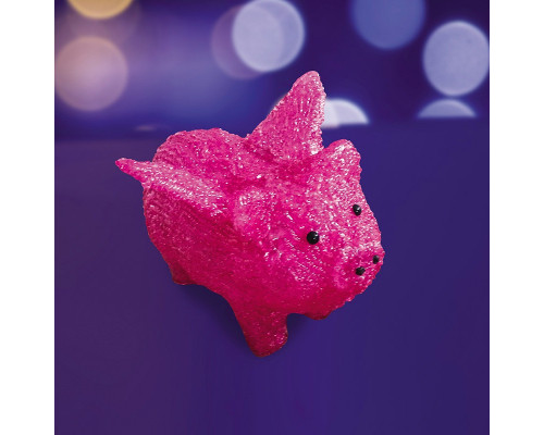 Сделать заказ Светодиодная фигура Neon-Night 513-342| VIVID-LIGHT.RU