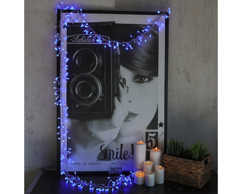 Купить Светодиодная гирлянда Neon-Night 303-603| VIVID-LIGHT.RU