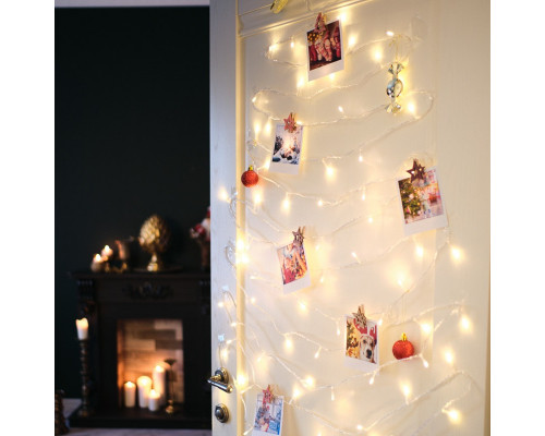 Сделать заказ Светодиодная гирлянда Neon-Night 303-196| VIVID-LIGHT.RU