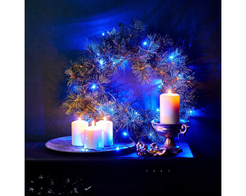 Купить Светодиодная гирлянда Neon-Night 303-013| VIVID-LIGHT.RU