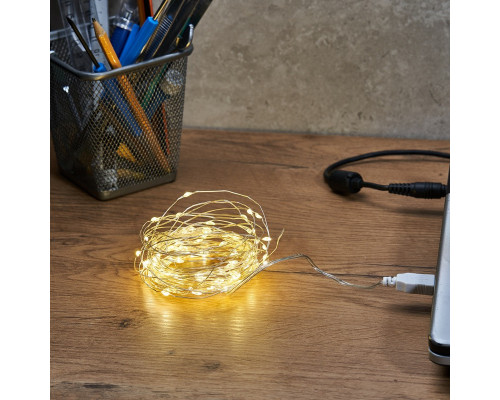 Оформить заказ Светодиодная гирлянда Neon-Night 315-976| VIVID-LIGHT.RU